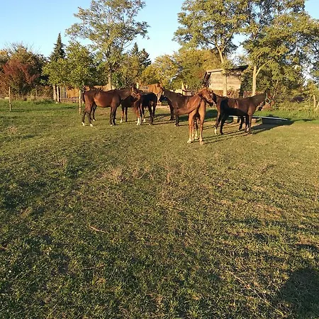 Koppány Lovasudvar Vendégház