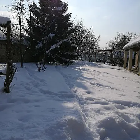 Koppany Lovasudvar 招待所 3*