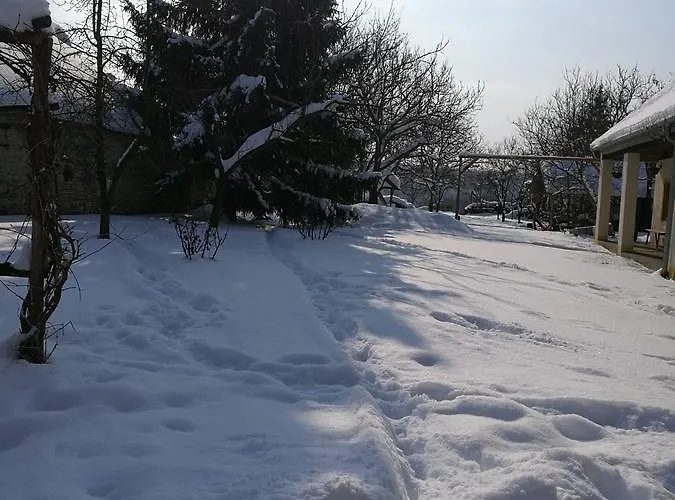 Koppany Lovasudvar Πανσιόν 3*